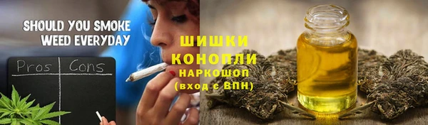 крисы Горняк