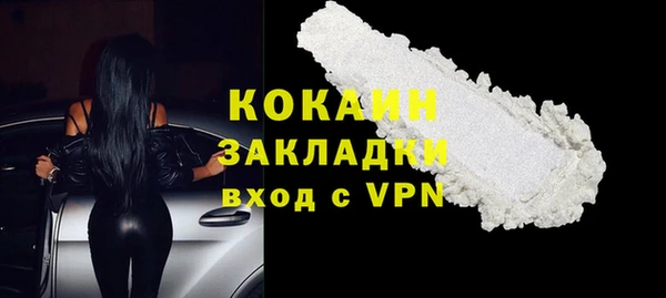 крисы Горняк