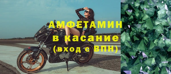 крисы Горняк