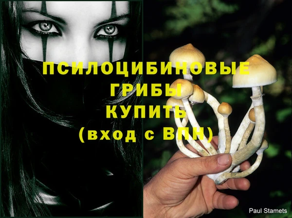 ГАЛЛЮЦИНОГЕННЫЕ ГРИБЫ Горнозаводск